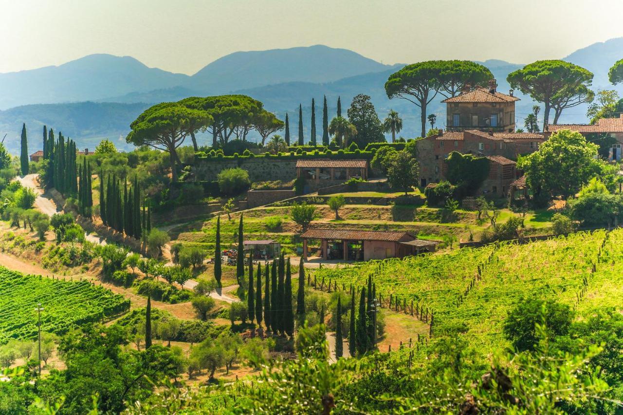 Tenuta San Pietro Luxury Hotel Λούκα Εξωτερικό φωτογραφία