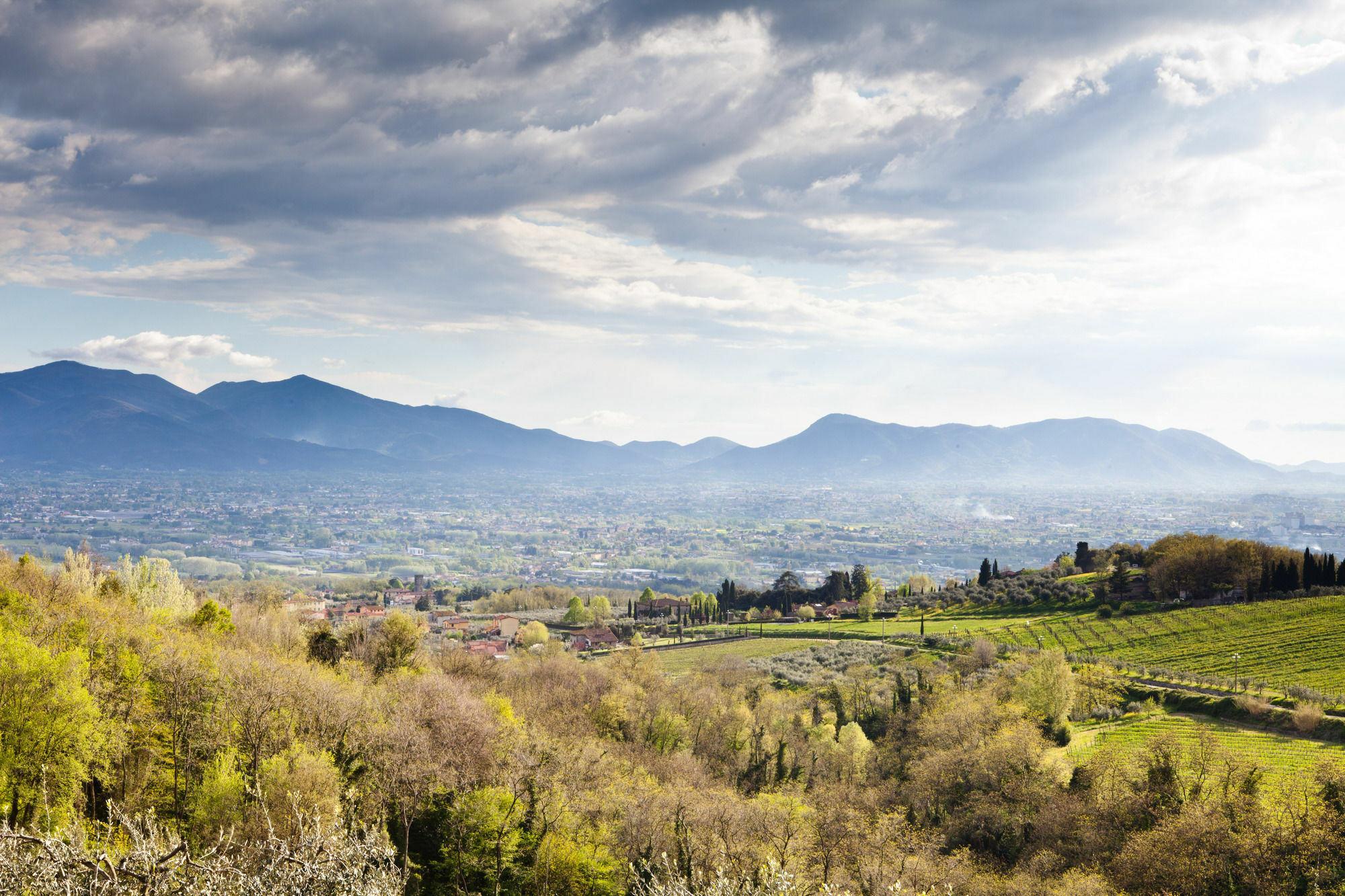 Tenuta San Pietro Luxury Hotel Λούκα Εξωτερικό φωτογραφία